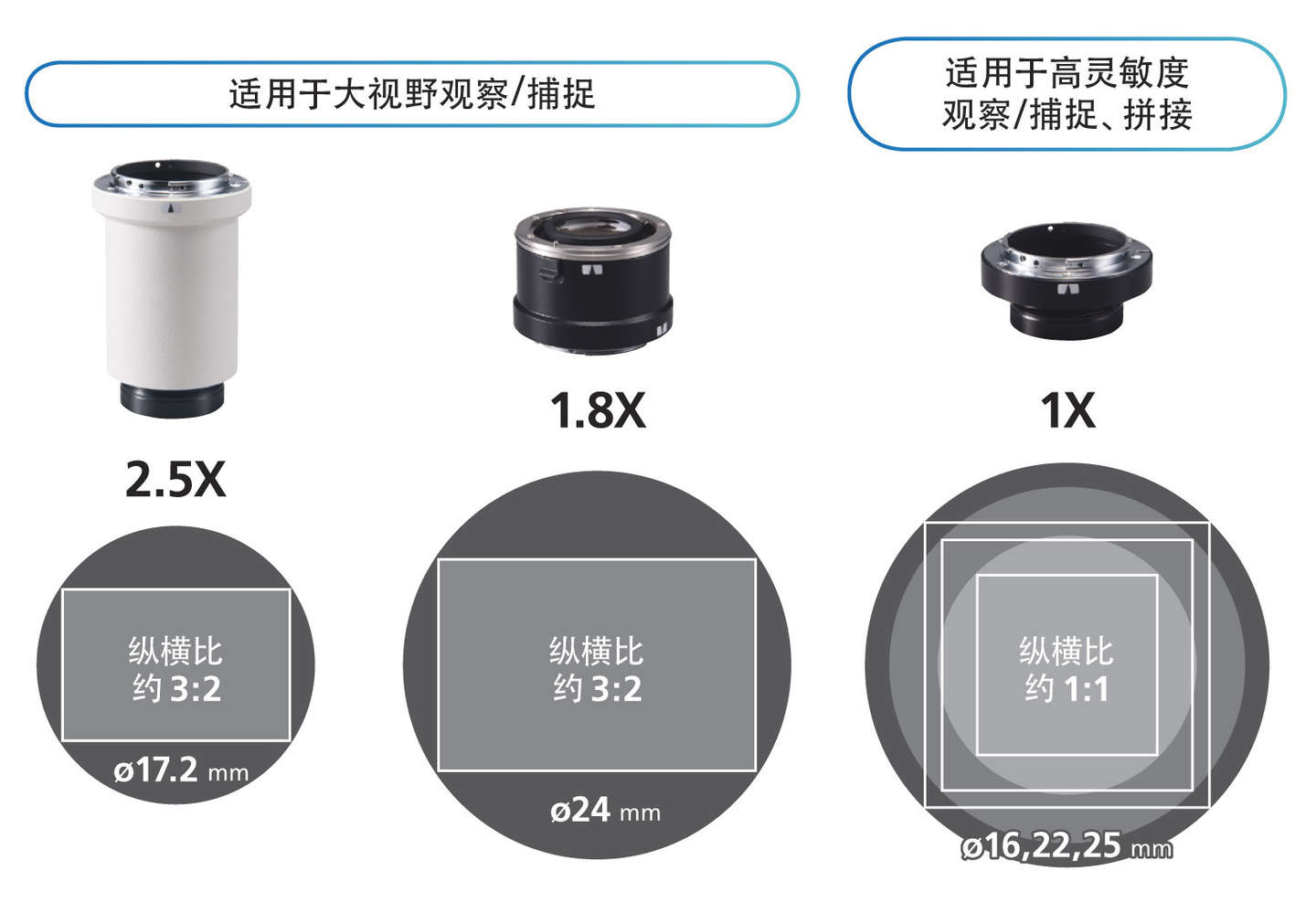 港澳免费资料全年资料大全